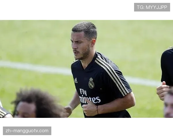 明尼苏达山猫队主场完成休赛期翻新,提升观众观赛体验 明尼苏达山猫队主场完成休赛期翻新,提升观众观赛体验